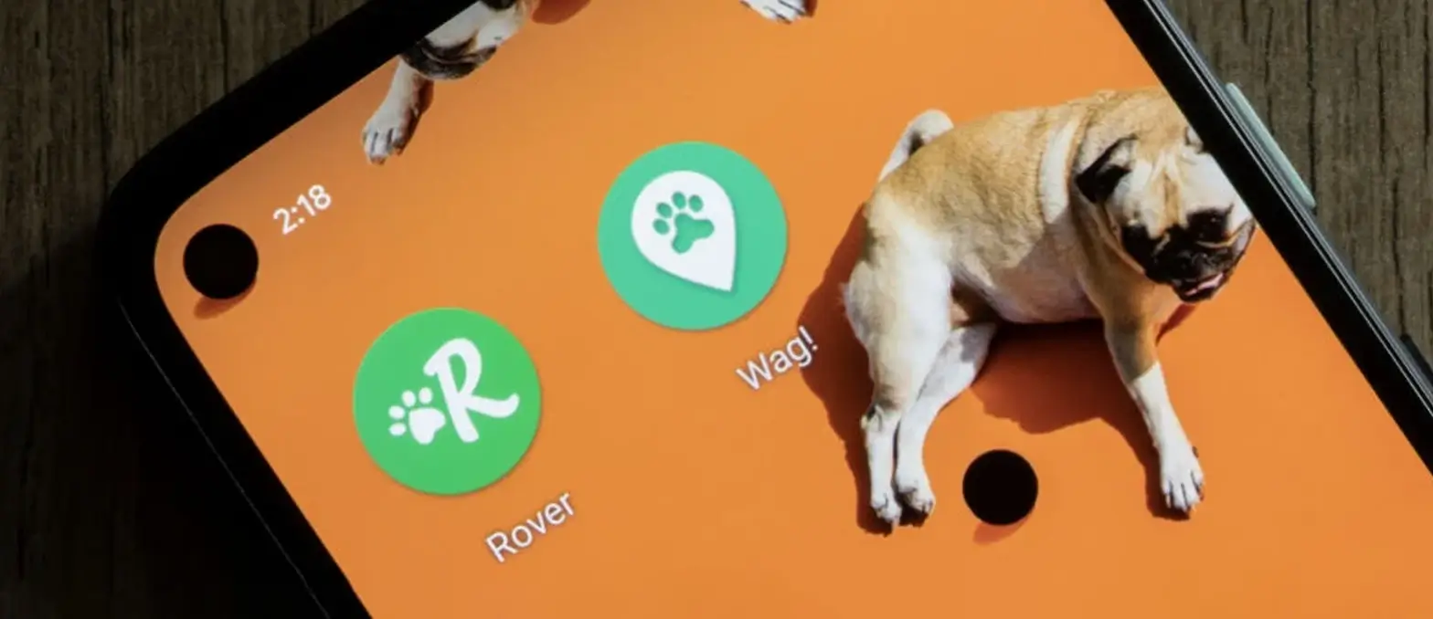 How To Develop Dog Walking Apps Like Rover?